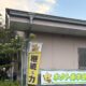 しぶとさから生まれる輝き